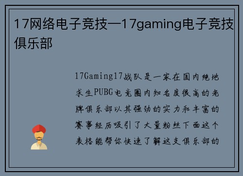 17网络电子竞技—17gaming电子竞技俱乐部